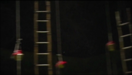 Noyontara - 24th August 2025